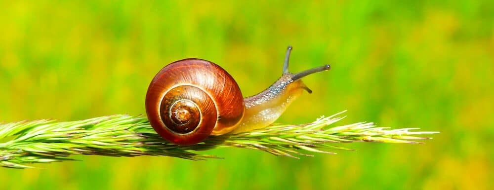 3 Important Things My Kids Have Taught Me