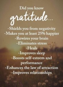 julieschooler.com - blog - 3 Things I Am Grateful For in Banana-Pants Crazy 2020 - Benefits of Gratitude